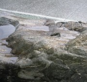 つくばいにも水溜り