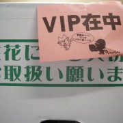 VIP在中