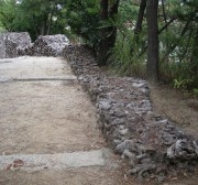 鳥居の横まで畝っています