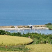 唐櫃岡から見えます