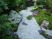 苔がきれいな露地