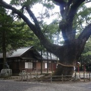 霊気がありますね