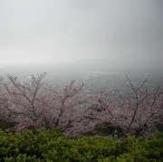 市街地も雲っています