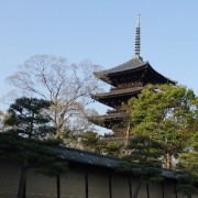 東寺の五重塔