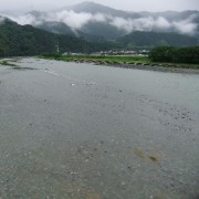 今日の加茂川