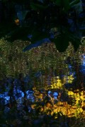 水面のマーブル模様