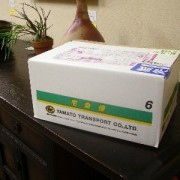 届いたばかりのその箱