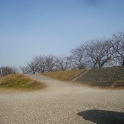 冬晴れの加茂川土手