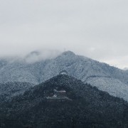 市民の森公園の山