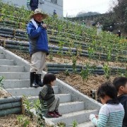 植林後のお話