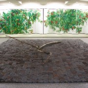正面展示