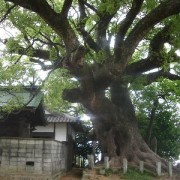 天満宮の後ろ側から