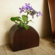 山紫陽花