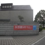 安藤義茂展