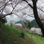 市街地が見える