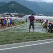 田植え