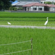 また今度ね