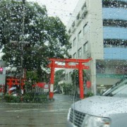 大雨です！