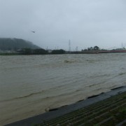 川幅いっぱいに流れている
