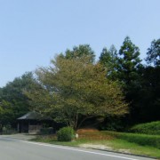 仙遊寺への入り口