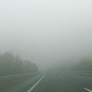 春の霧