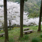 縦間のベンチ