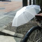 傘を干して