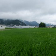 雲の動き