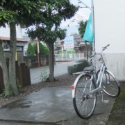 忘れられた自転車