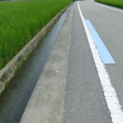 水色のライン