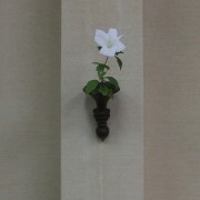 名残の木槿