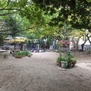 senseito