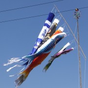 koinobori