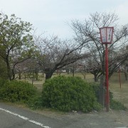 bujyou3