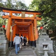 torii3