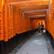 torii4