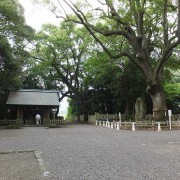 isono2