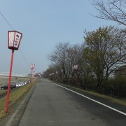 bonbori