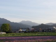 2017.4.19yuuisi