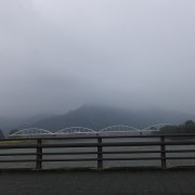 saijyounoumu