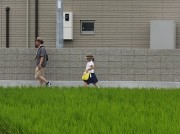 oyako