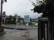 amemoyou
