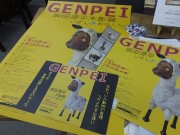 genpeiten