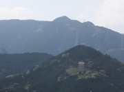 mokomokomidori