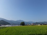 2018.8.29