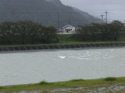 2018.9.30kamogawa