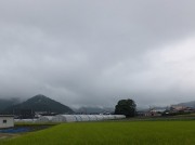 amagumo29