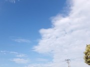 nisikita4