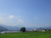 2019.7.26