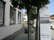 tatekan